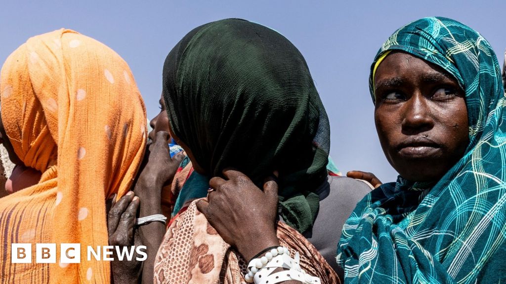 Sudanese city had 6,000 killed in three days, UN says