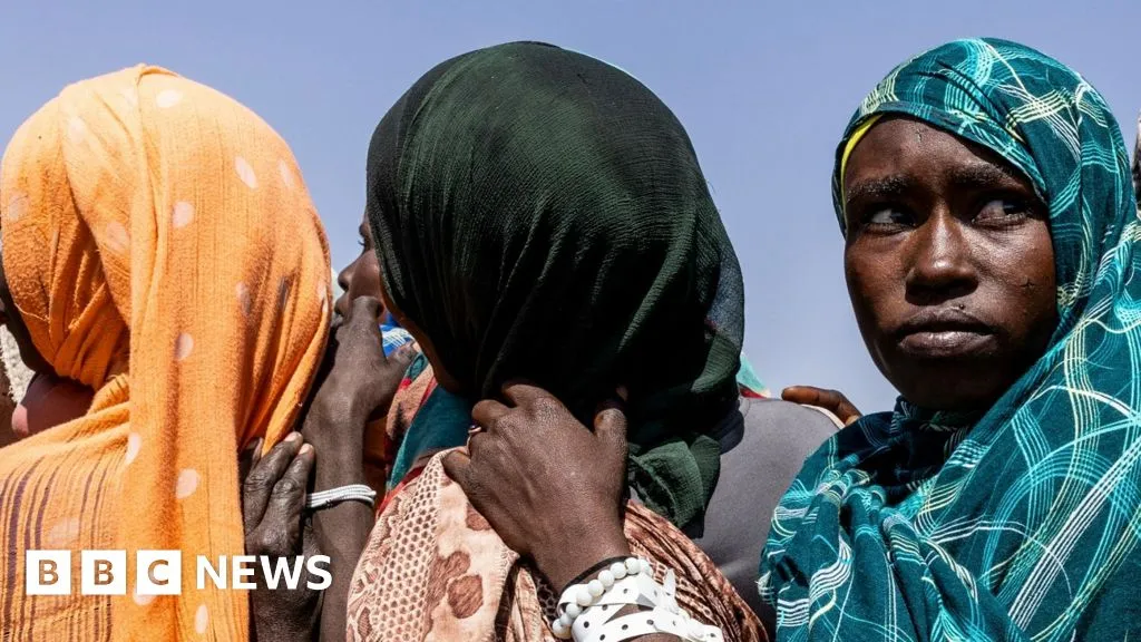 Sudanese city had 6,000 killed in three days, UN says