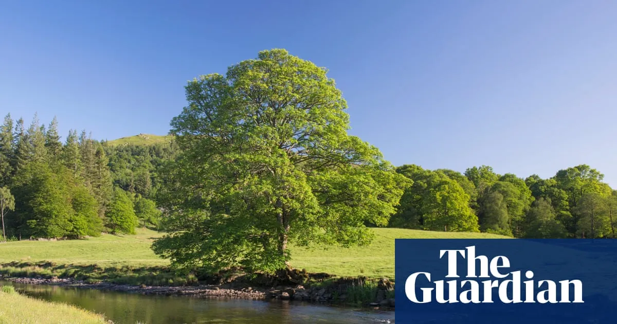 Race to find source of carcinogenic Pfas in Cumbria and Lancashire waters