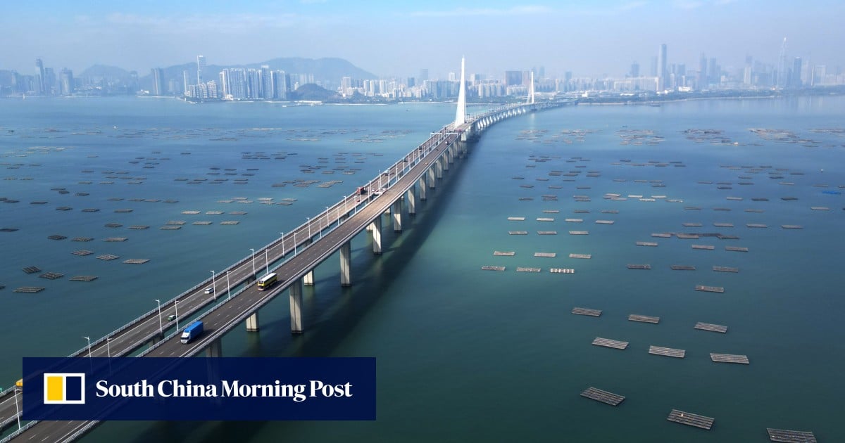 15 injured as 2 Hong Kong-bound coaches collide on Shenzhen Bay Bridge