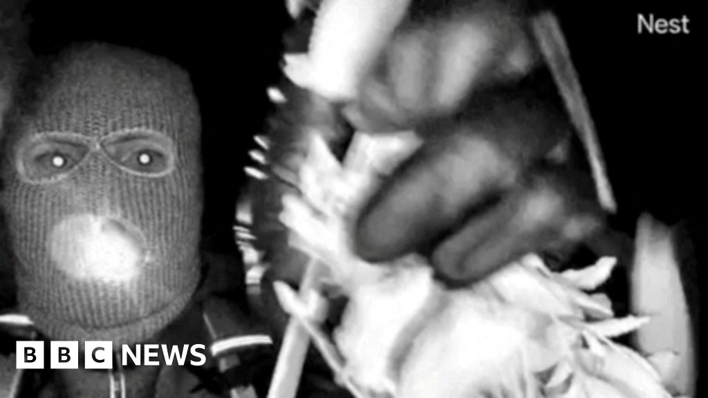 FBI analysing recovered glove that appears to match those worn in Guthrie suspect video