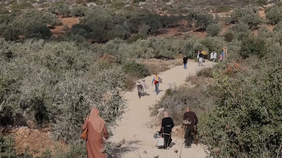 Rights groups condemn Israeli plan for ‘de facto annexation’ of West Bank