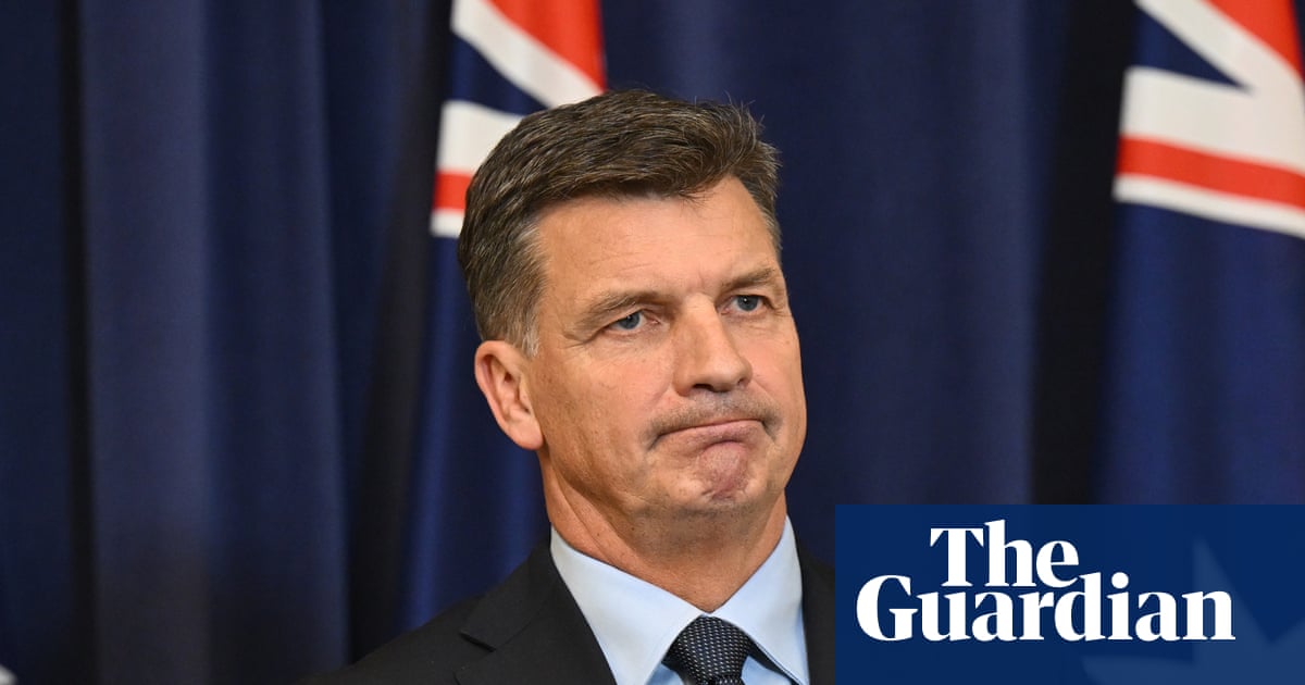 Moderate Liberals warn Angus Taylor against adopting Trump-style immigration policies