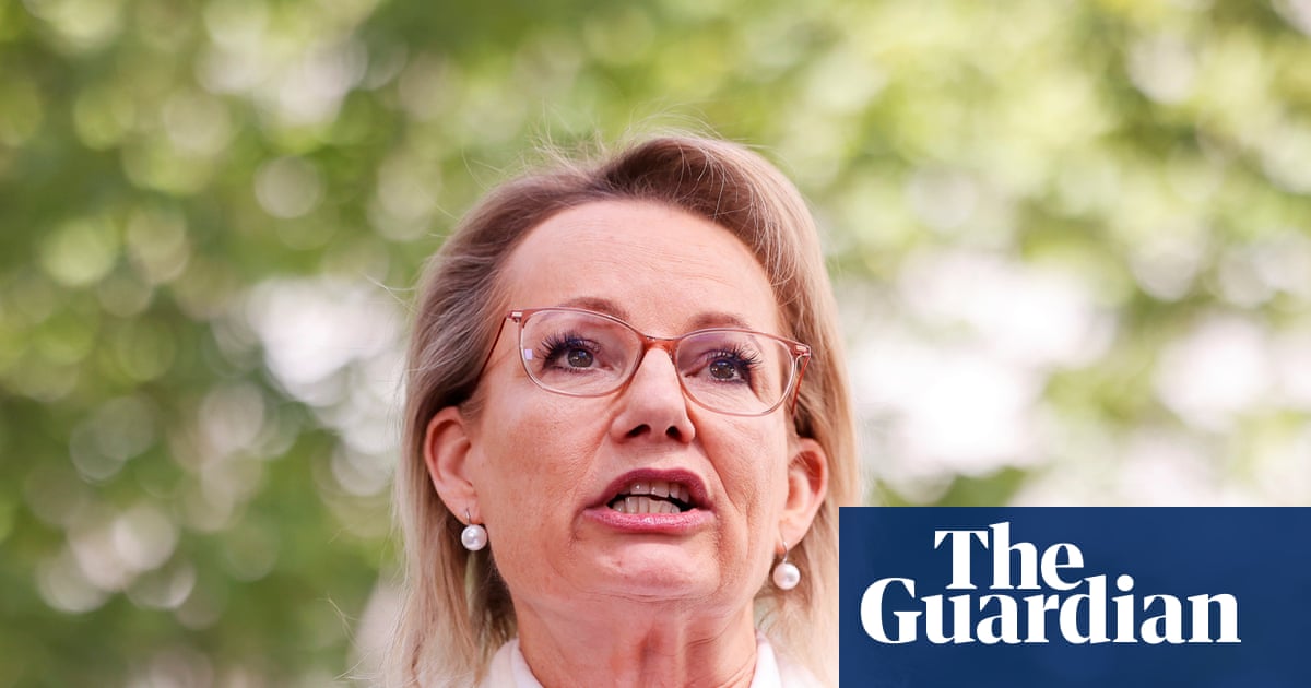 How a hardline ‘Trump-style’ Liberal immigration policy to ban migrants from Gaza and Somalia was developed