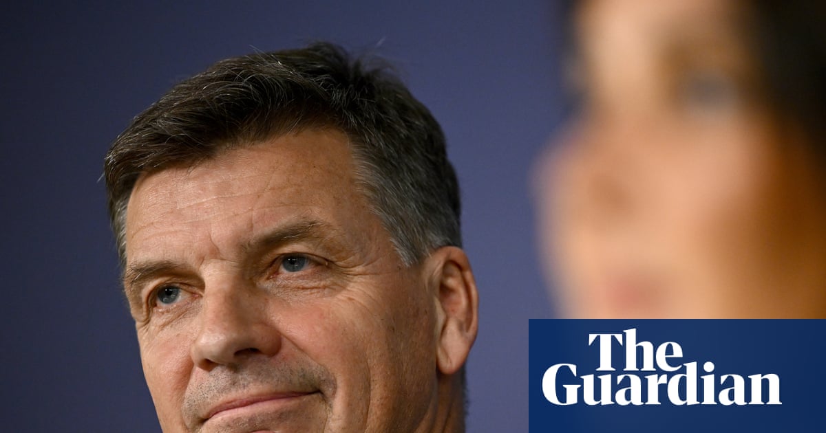 Angus Taylor says his new frontbench will take the fight to Labor, but his biggest battle is to save the Liberal party