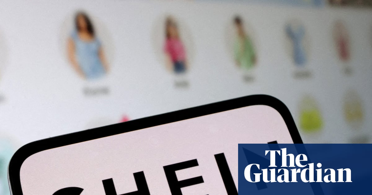 EU to investigate Shein over sale of childlike sex dolls and weapons