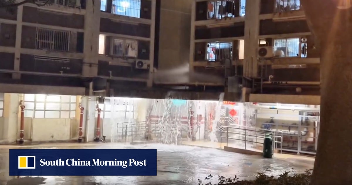 Hong Kong households hit by water disruptions during Lunar New Year