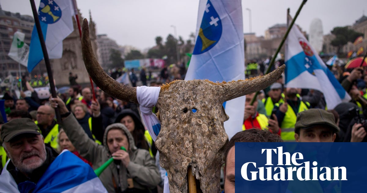 Beef and lamb get 580 times more in EU subsidies than legumes, study finds