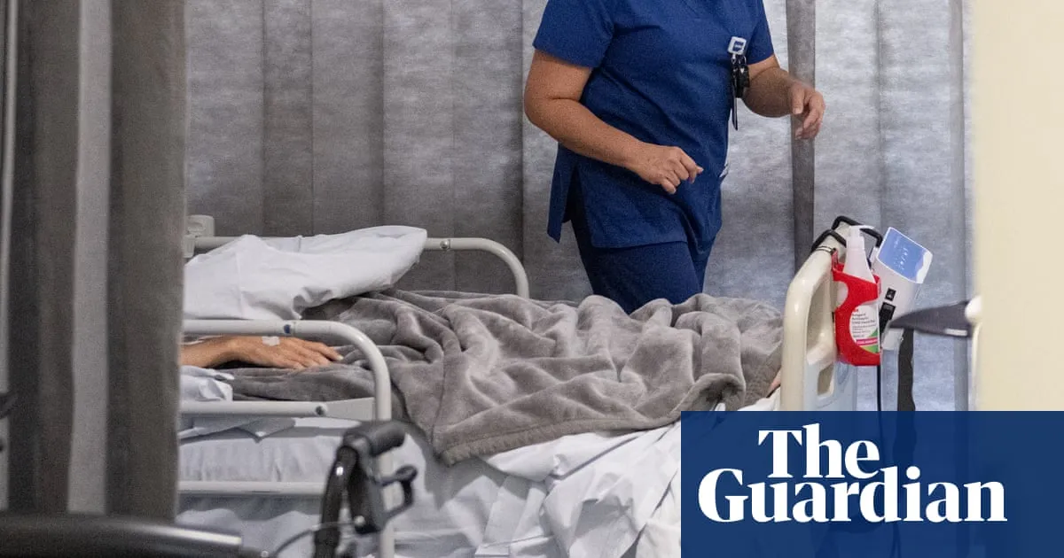 ‘The system is broken’: tragedies involving escaped patients expose NSW’s mental health crisis, hospital workers say