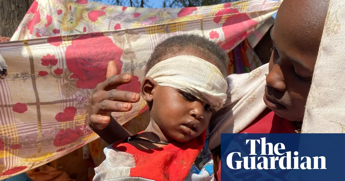 RSF siege of El Fasher in Sudan has ‘hallmarks of genocide’, UN mission finds