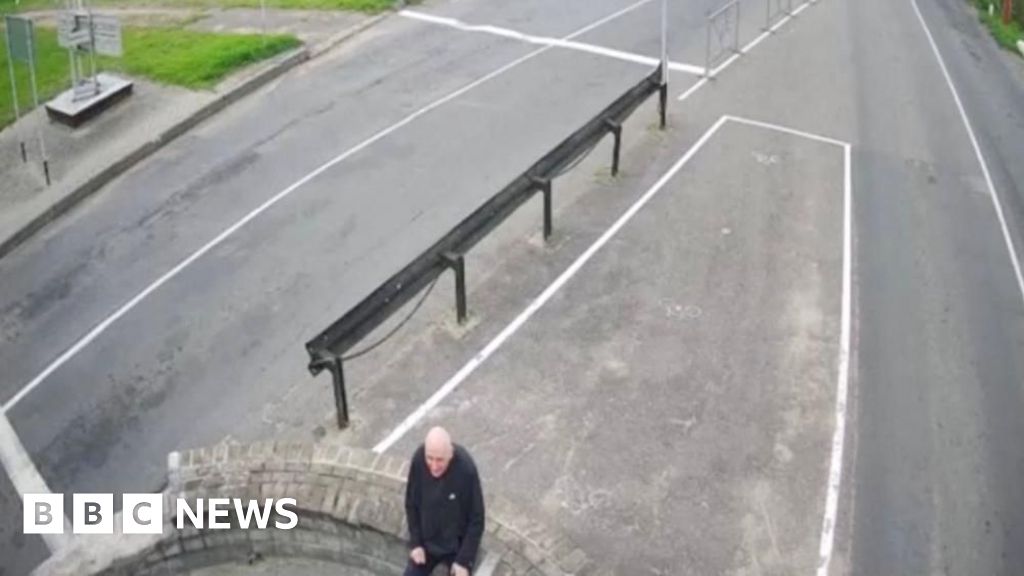 Veteran dissident who refused exile released