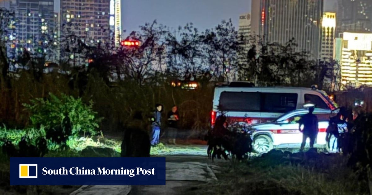 Police probe suspected poisoning of 4 dogs, with 2 more canines missing