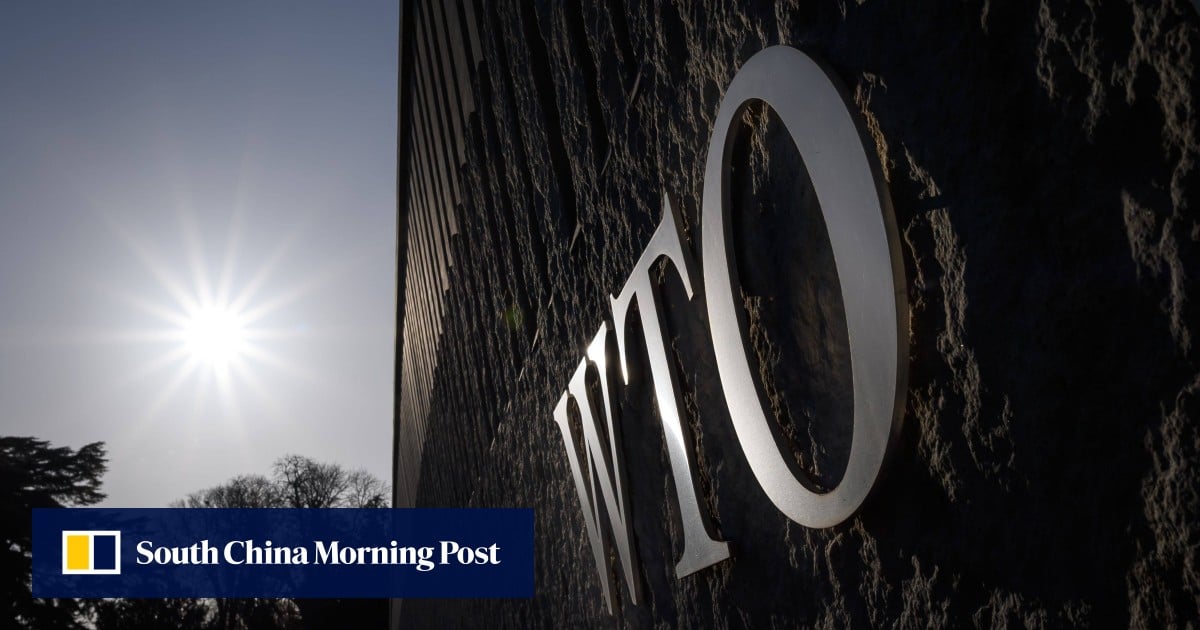 China defends WTO’s most-favoured nation principle after US, EU challenge rule
