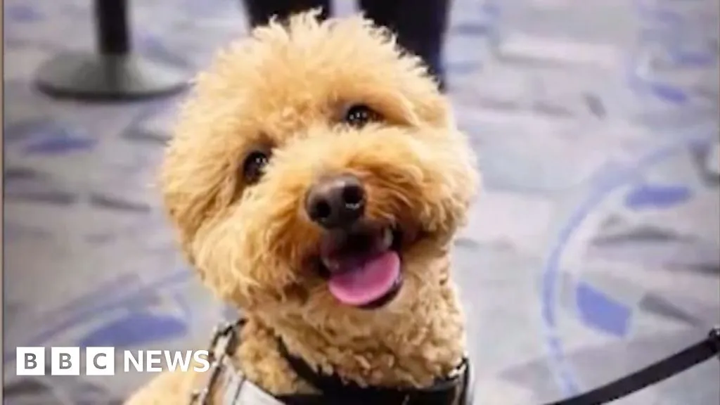 Woman charged over abandoning dog at Las Vegas airport