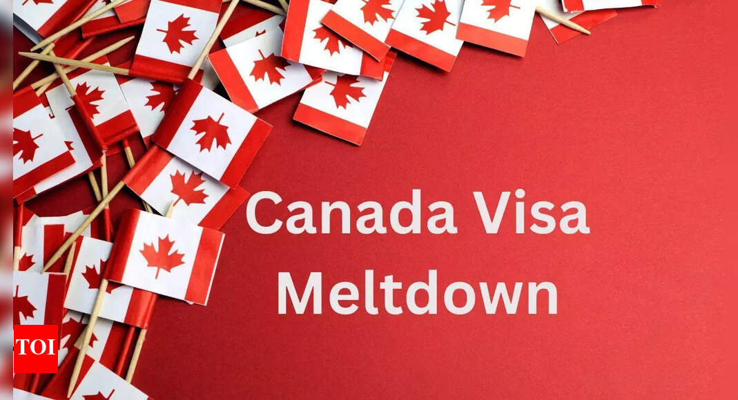 Explained: Why Canada's visa system is facing a meltdown