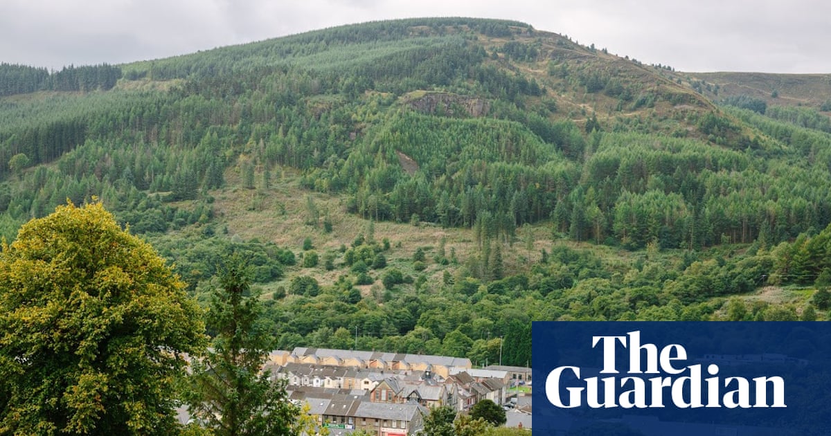 How a Welsh village saved its forest … and its future