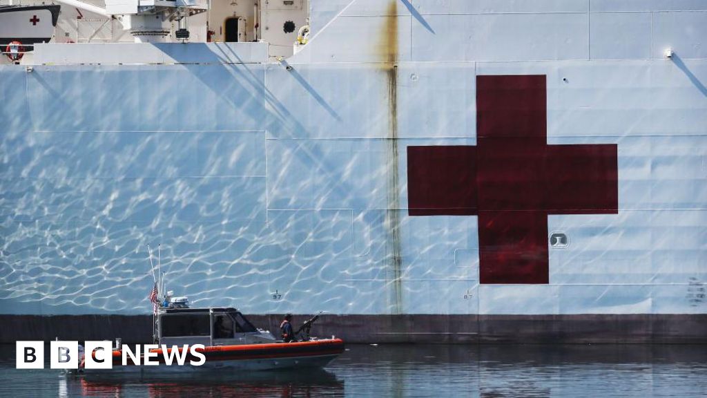 Greenland says 'no thanks' to Trump US hospital boat