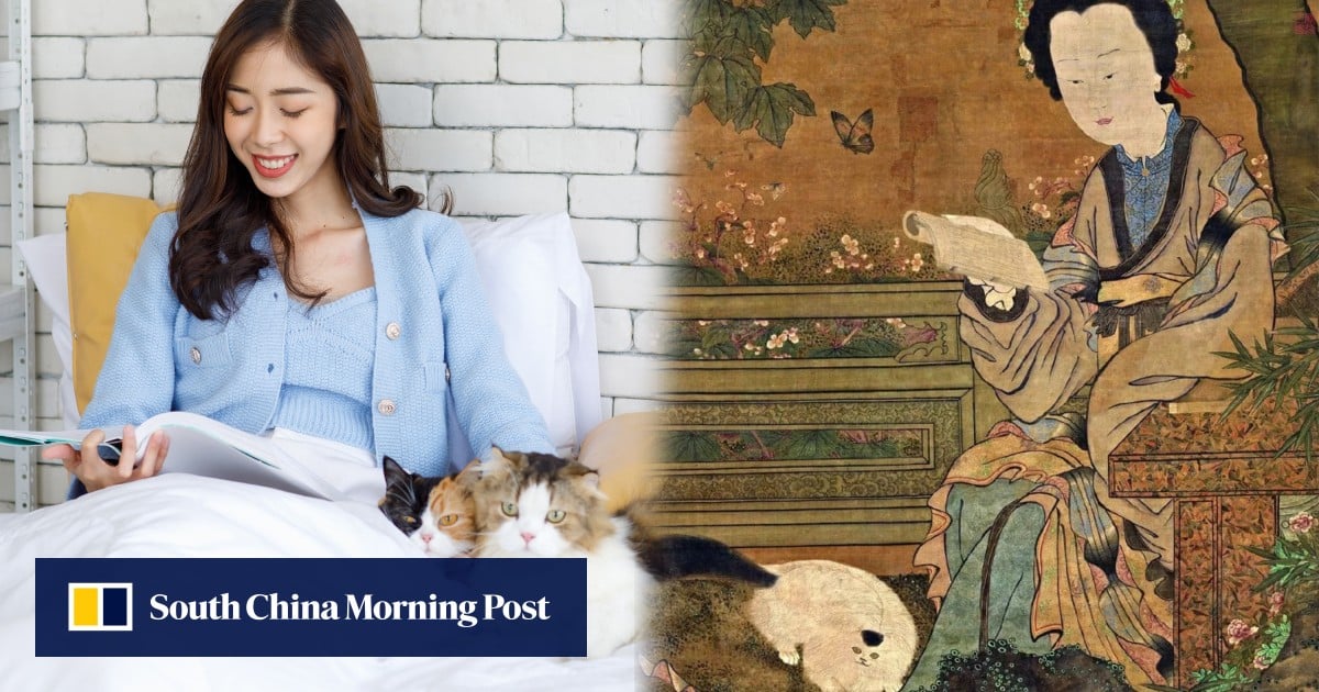 Ancient Chinese process of bringing cat home to raise as pet was similar to marital contract