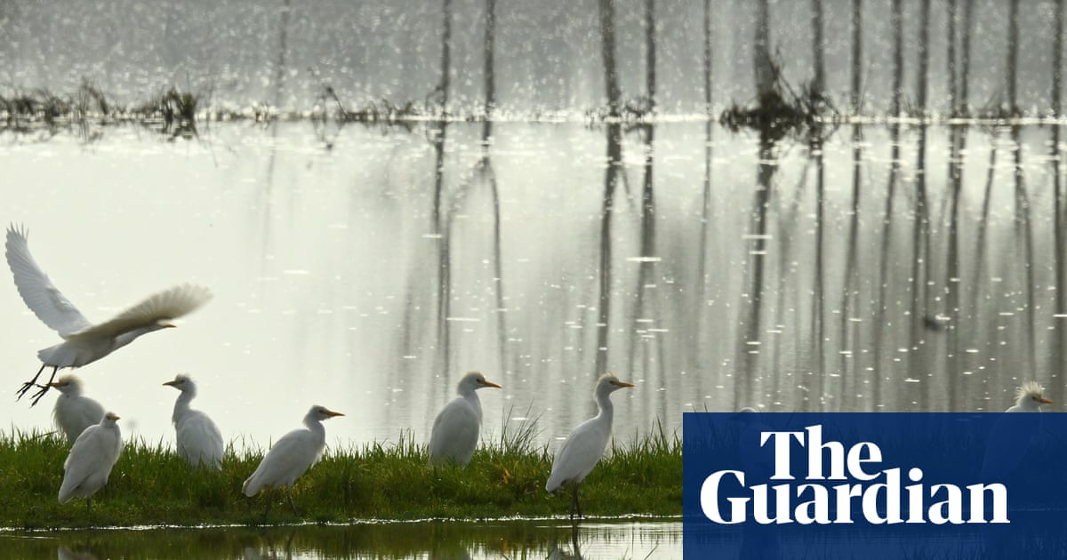 Weather tracker: early taste of spring to sweep parts of Europe