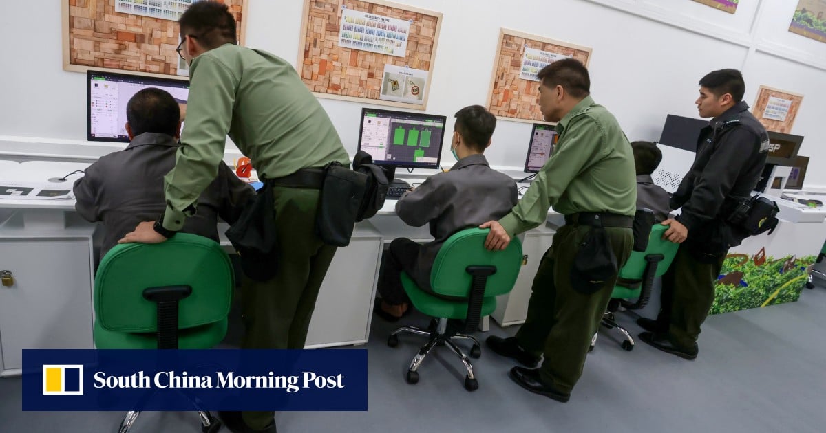 Hong Kong protests: former young offenders sent on mainland China exchange tours