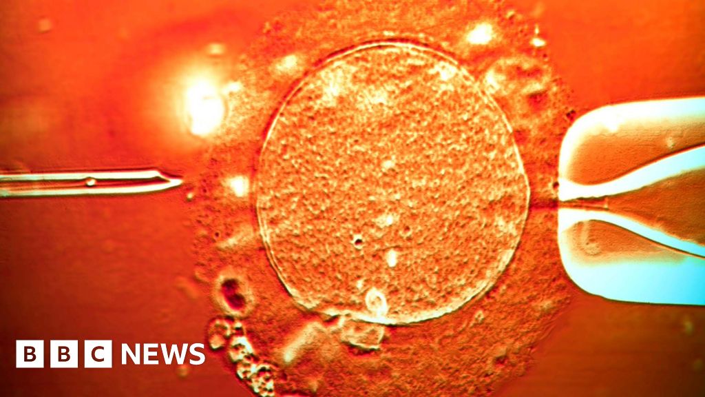 Sperm from donor with cancer-causing gene was used to conceive almost 200 children