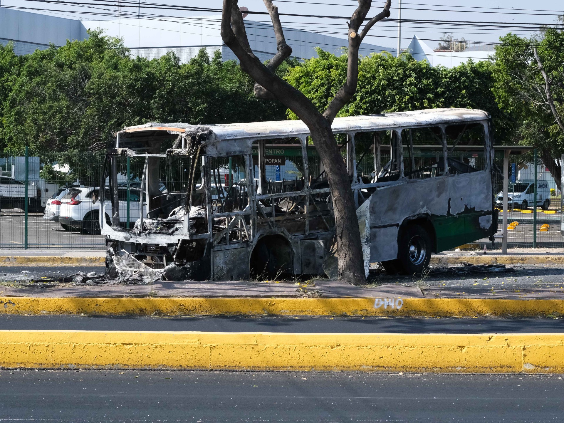 Cartel attacks kill more than two dozen people in Mexico