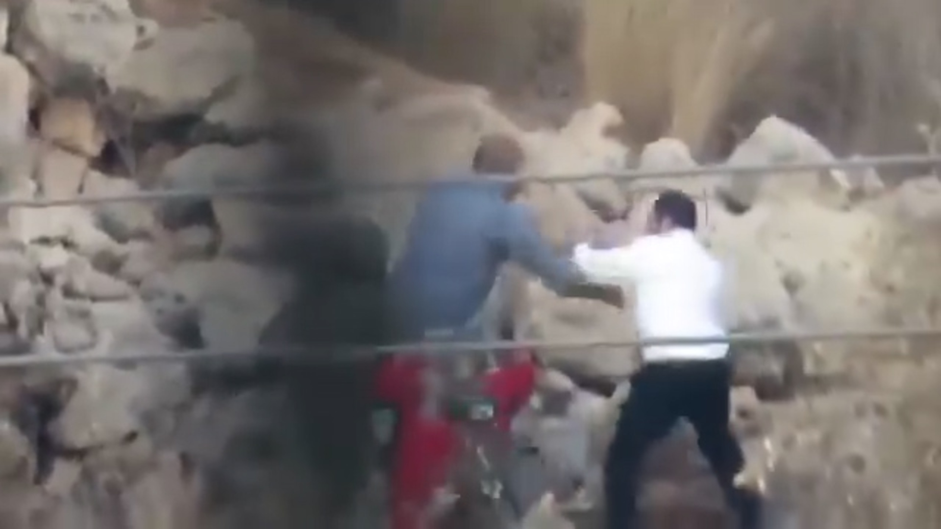 Israeli settlers and soldiers attack annual Palestinian olive harvest