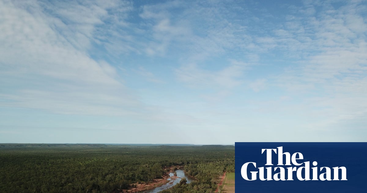 NT environmentalists ‘gobsmacked’ at federal green light to bulldoze nearly 3,000 hectares of tropical savanna