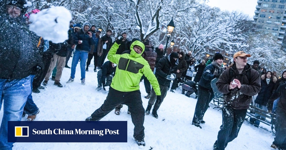 New York police investigating after officers hit with snowballs: ‘criminal behaviour’