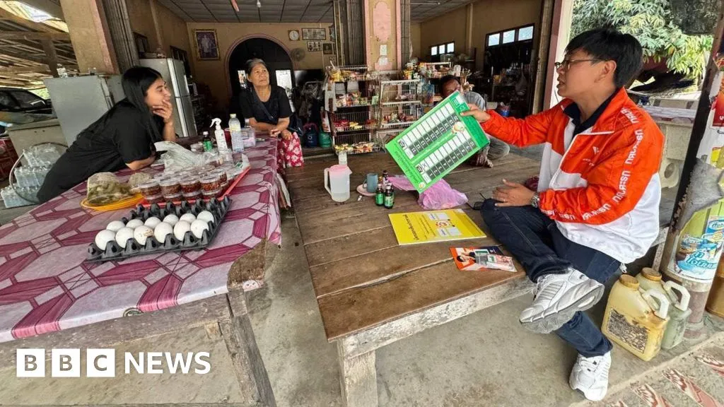 Political outsiders are up against Thailand's powerful patronage system, defeated MP tells BBC