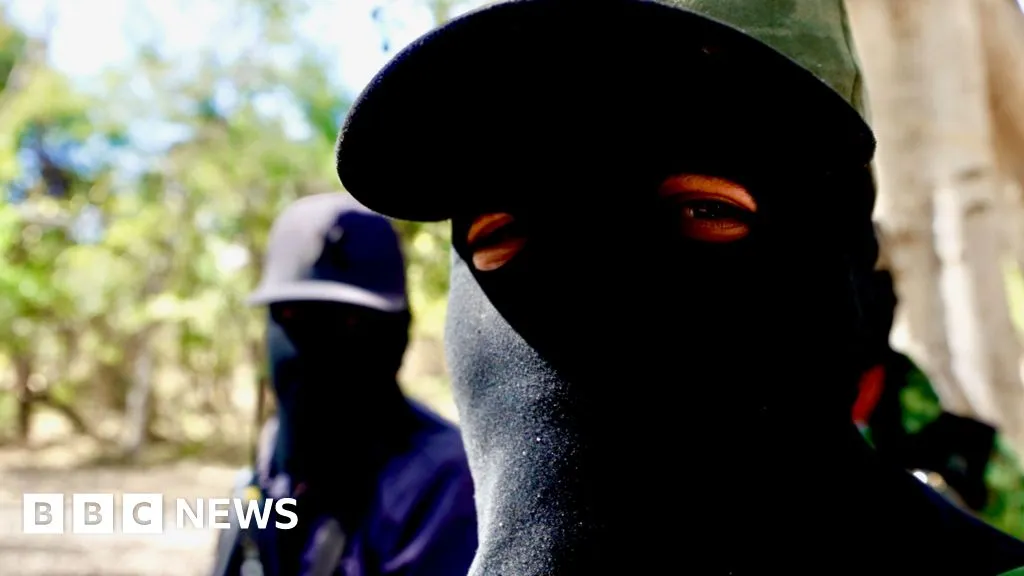 'Fear is everywhere': BBC reports from Mexican city turned into war zone by drug cartel feud