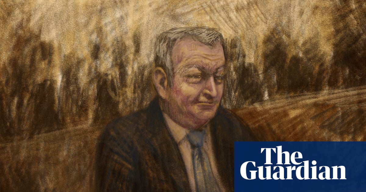 Accused killer Greg Lynn seeks bail to live with son as lawyers apply for permanent stay in case