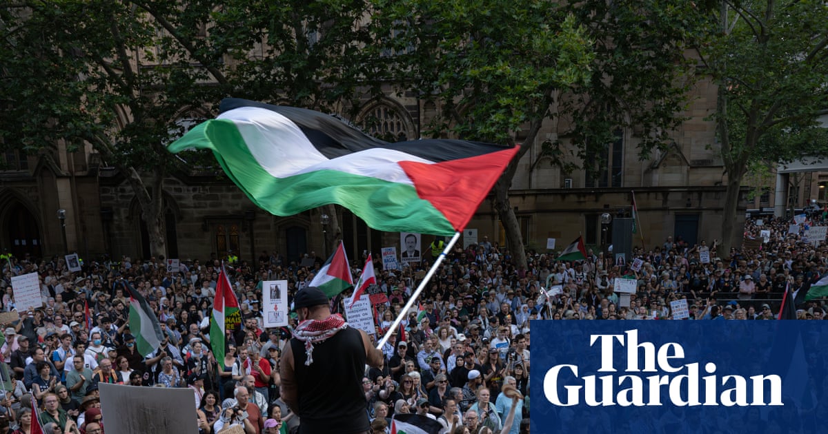 Minns government undermined own goal with NSW protest restrictions, constitutional challenge hears