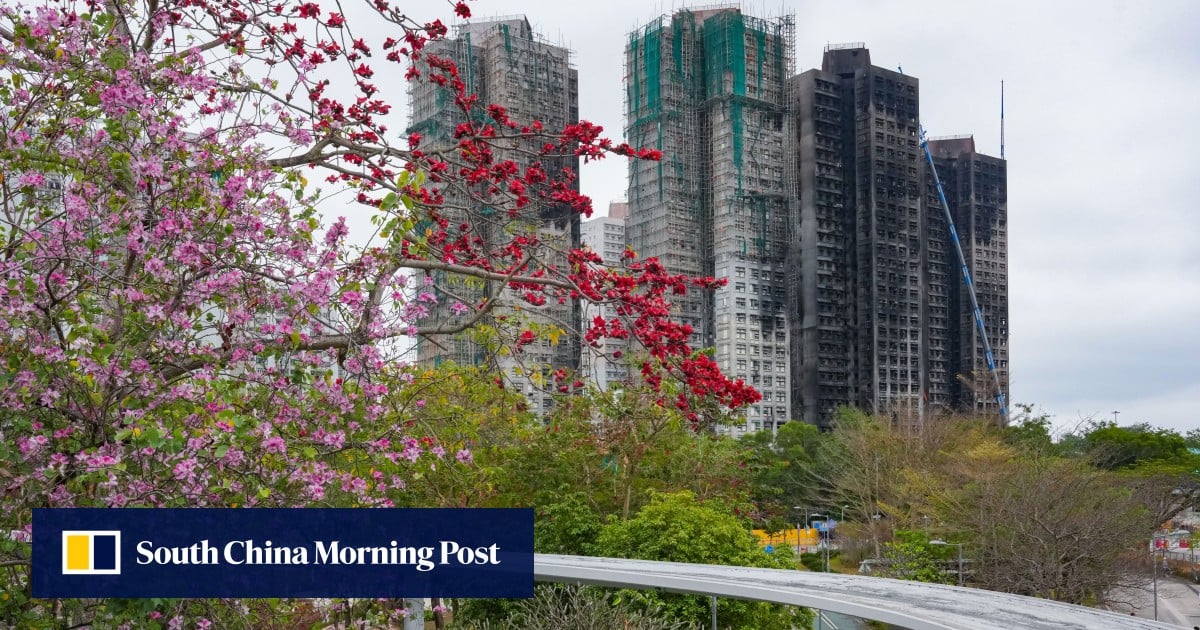 Residents of fire-ravaged Wang Fuk Court can retrieve belongings from late April