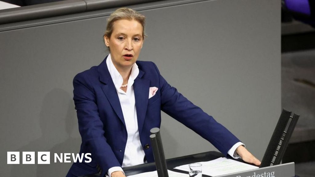 AfD hails court injunction on 'extremist' label as victory