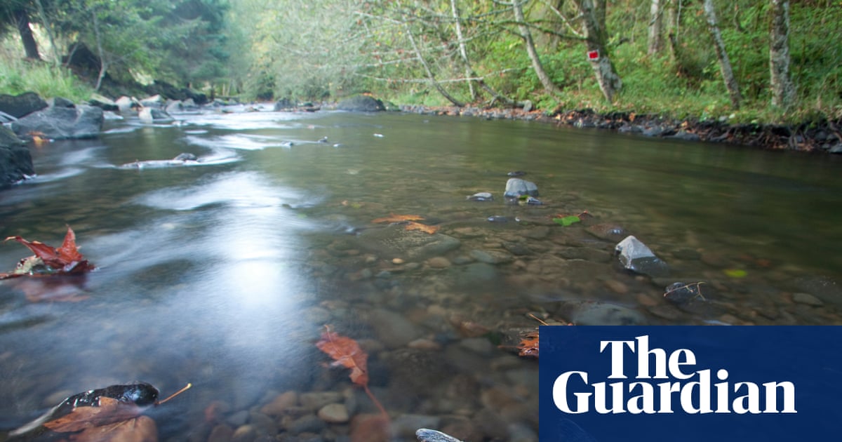 Judge sides with salmon against Trump administration in hydropower ruling