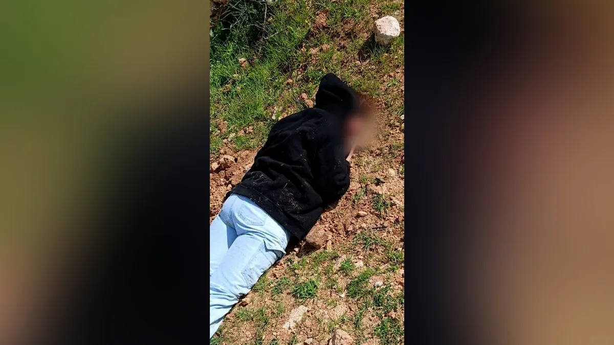 Israeli settlers violently attack foreign ‘solidarity activists’