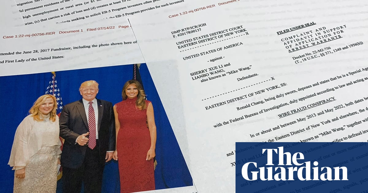 New York businesswoman sentenced to nine years for $30m political finance scheme