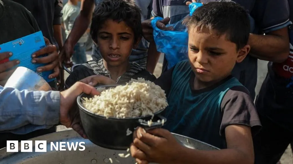 Aid groups in Gaza and West Bank thrown lifeline as Israel court pauses ban threat 