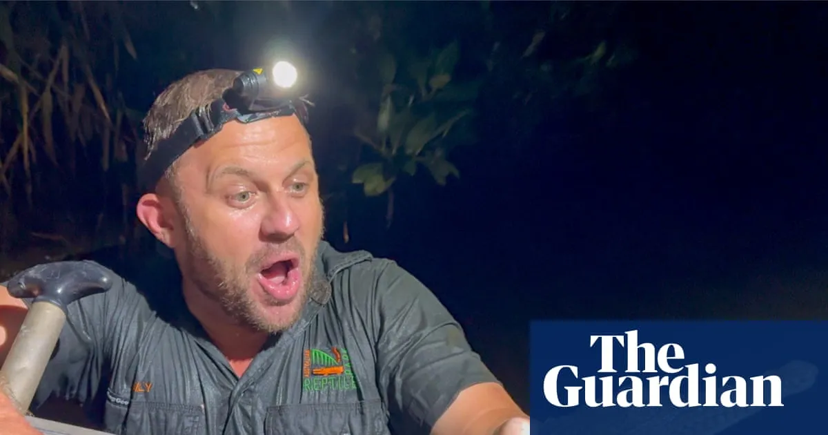 Disbelief as crocodile captured in Newcastle creek thousands of kilometres from natural habitat