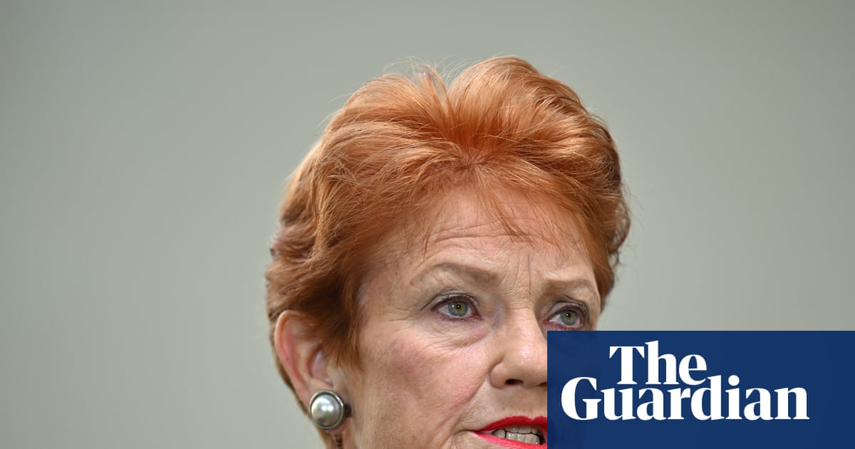 Pauline Hanson claimed taxpayer-funded trips around Australia that coincided with One Nation fundraisers