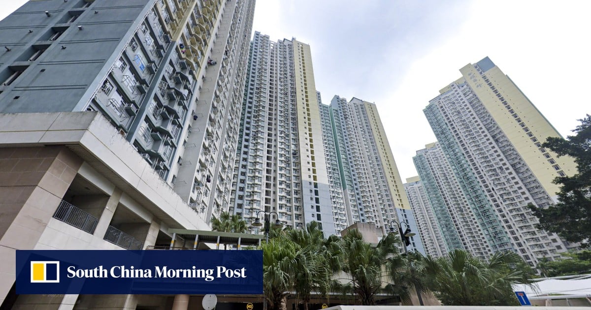 Mentally ill Hongkonger admits killing mother he mistook for ‘monster lizard’