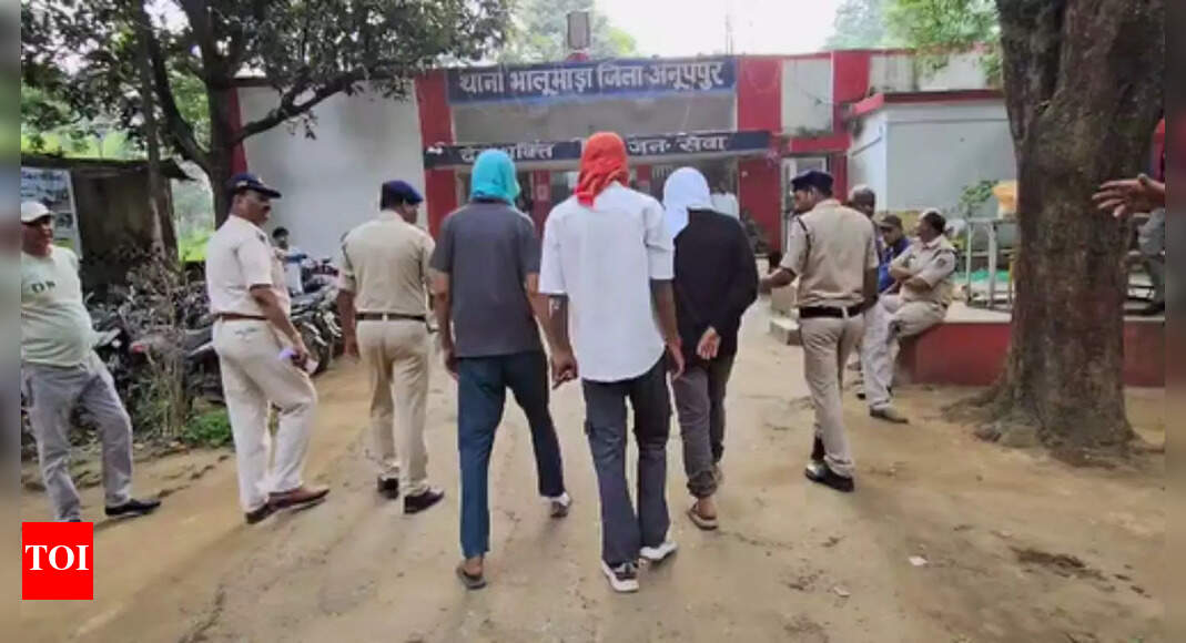 Madhya Pradesh: Out on bail, man attacks judge's house; arrested along with 2 aides