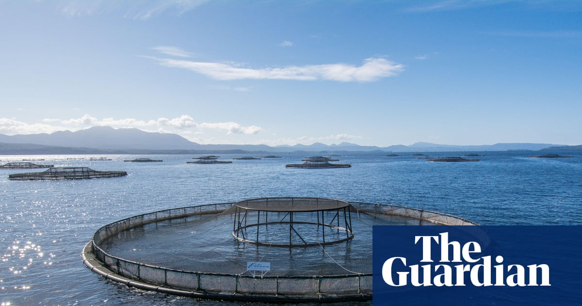 Albanese government rejected advice on Tasmanian salmon farming impact before passing pro-industry laws