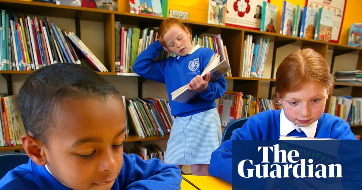 Schools in England sidelining dressing-up for World Book Day, MPs hear