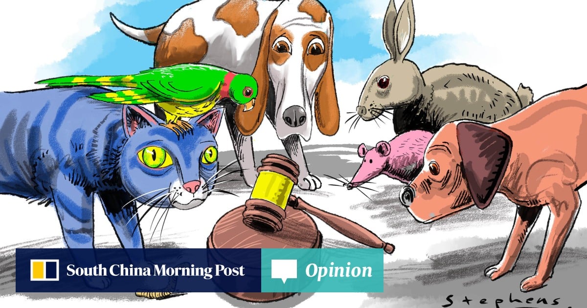 The quiet revolution in animal rights in China