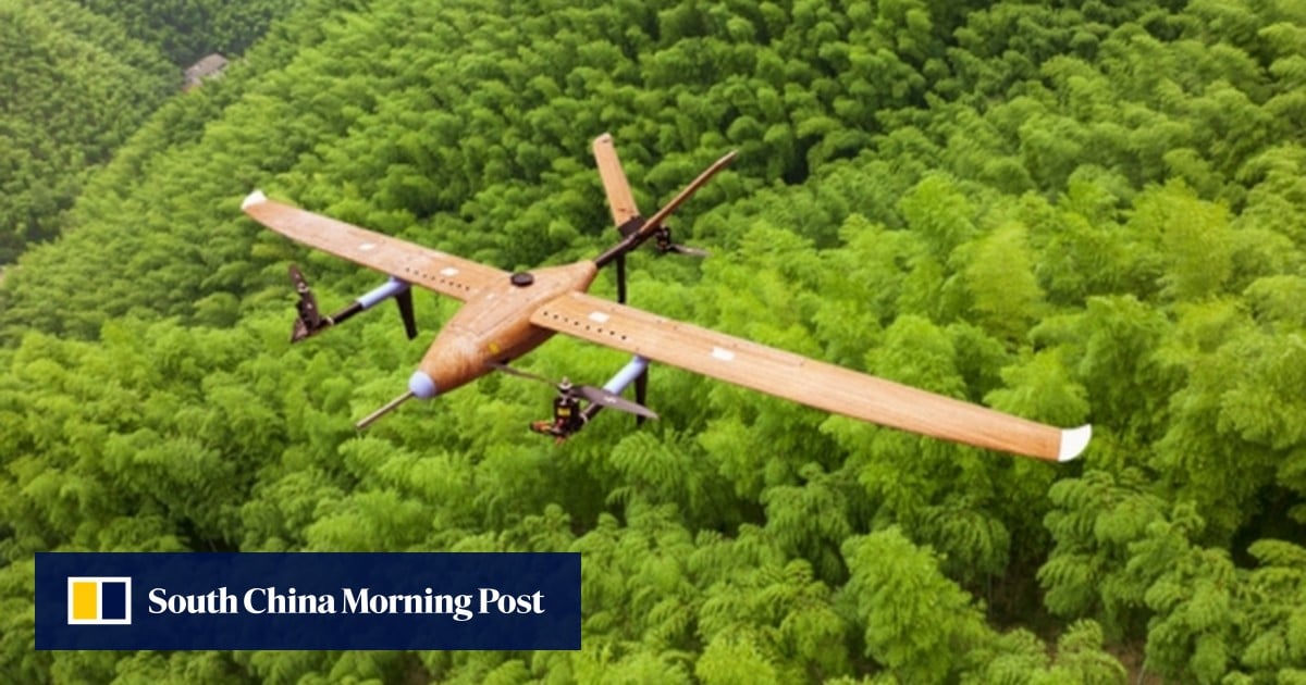 75% cost-cut: China unveils world’s first fixed-wing drone made of bamboo fibre