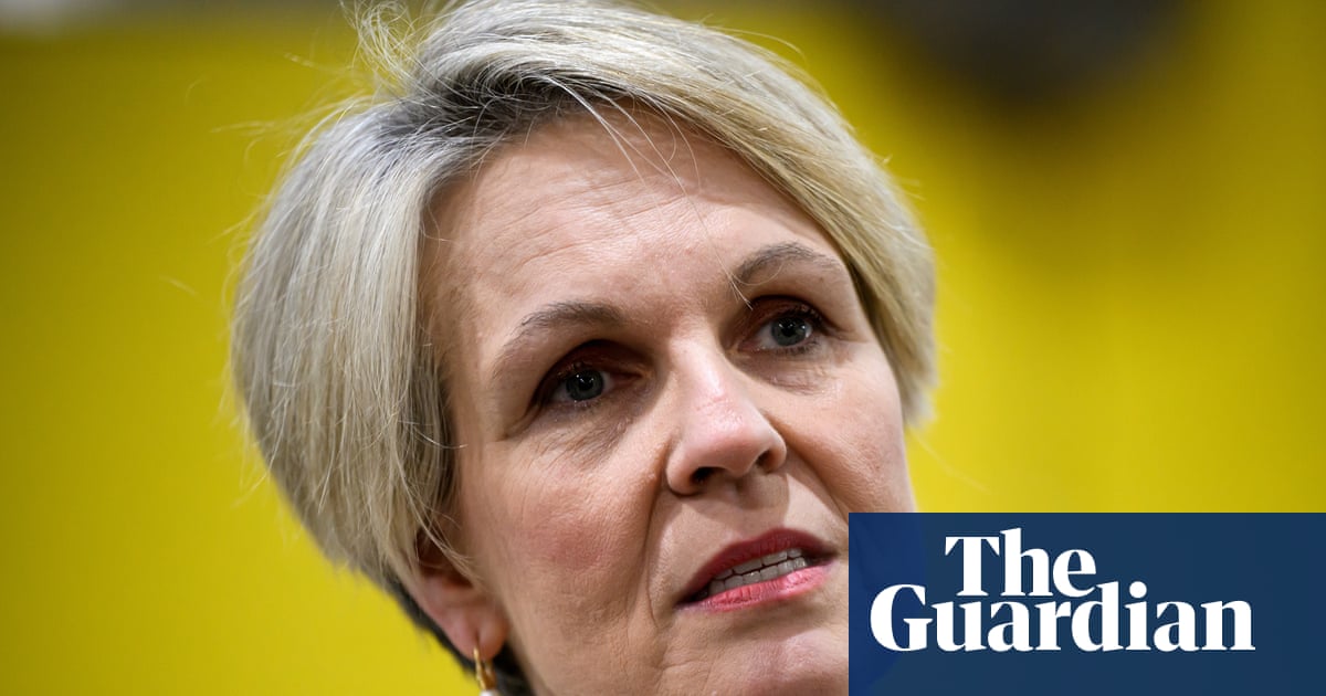 Plibersek accuses Mafs of platforming ‘coercive control’ after contestant wanted a woman ‘obedient’ like a dog