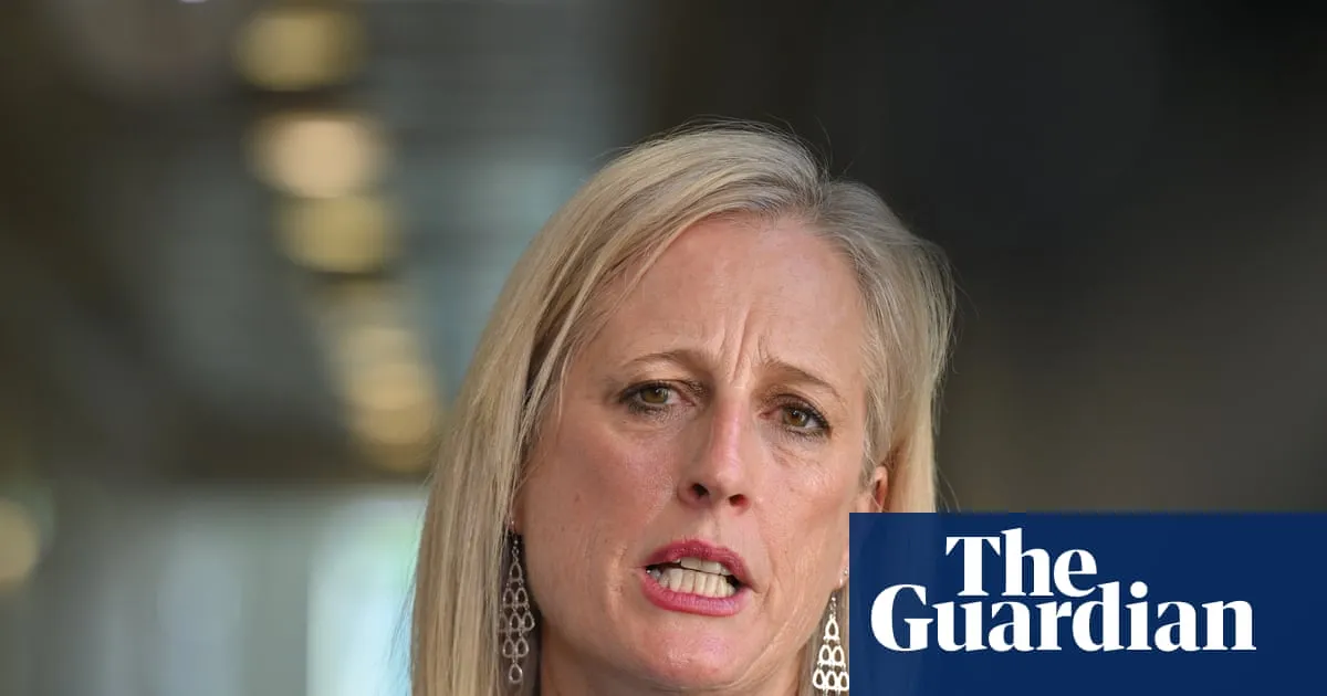 ‘A win for democracy’: Labor abandons freedom of information law changes that would have reduced transparency
