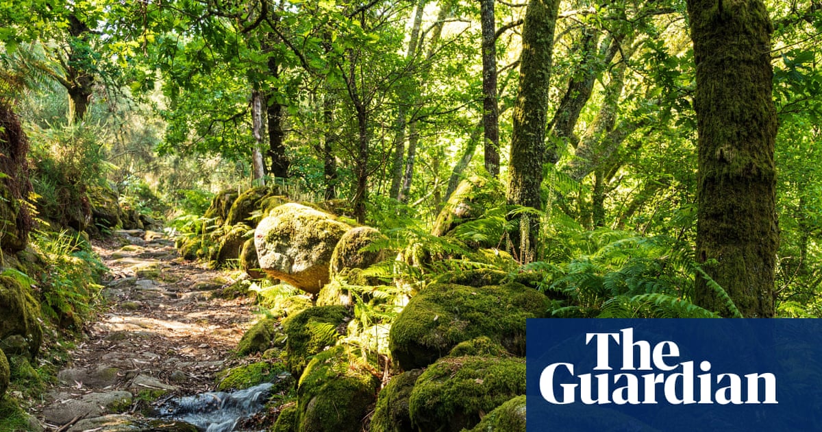 Portugal fined £8.7m by EU court for failing to protect biodiversity